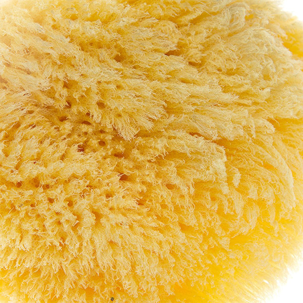 Babyjem Natural Sea Sponge for Gentle Baby Skin Care - Hypoallergenic & Organic Bathing Solution - view 5