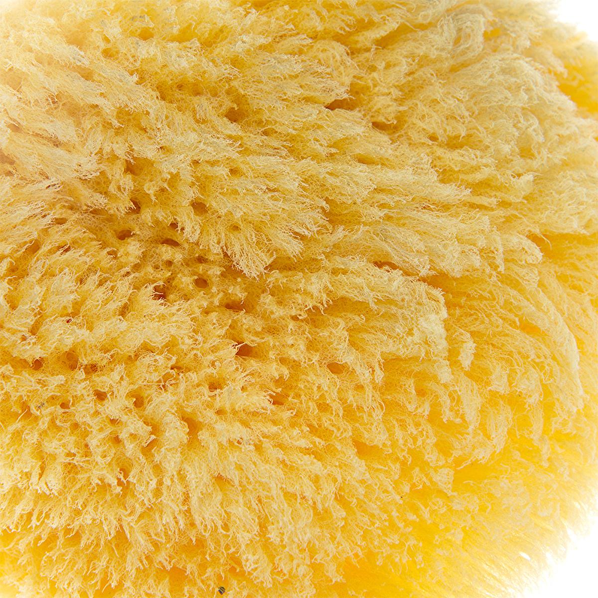 Babyjem Natural Sea Sponge for Gentle Baby Skin Care - Hypoallergenic & Organic Bathing Solution Natural Sea Sponge for Baby - Gentle & Hypoallergenic Natural baby bath sponge, Sea sponge for babies, Organic baby bath products, Gentle baby skin care, Hypoallergenic baby bathing, Natural baby care, Chemical-free baby products, Eco-friendly baby products, Mediterranean sea sponge, Sensitive skin baby products