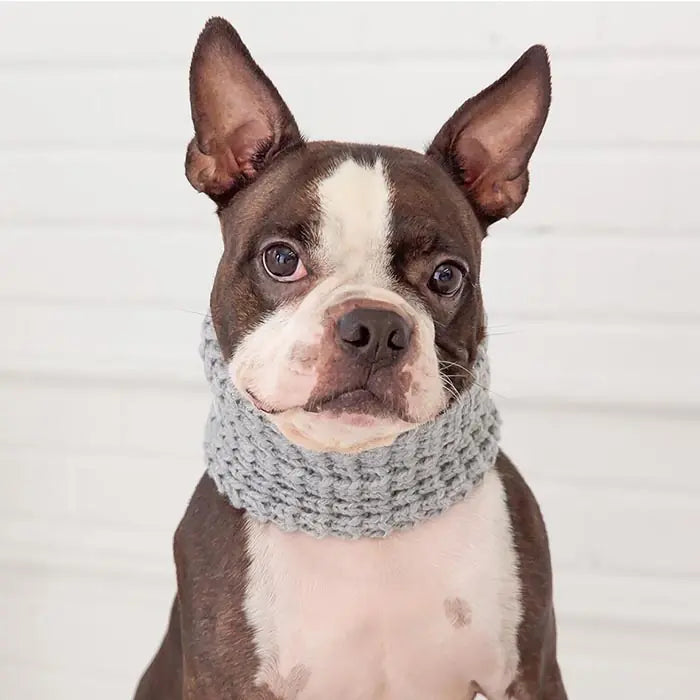 GF PET Chalet Dog Scarf Cozy Winter Neck Warmer S/M