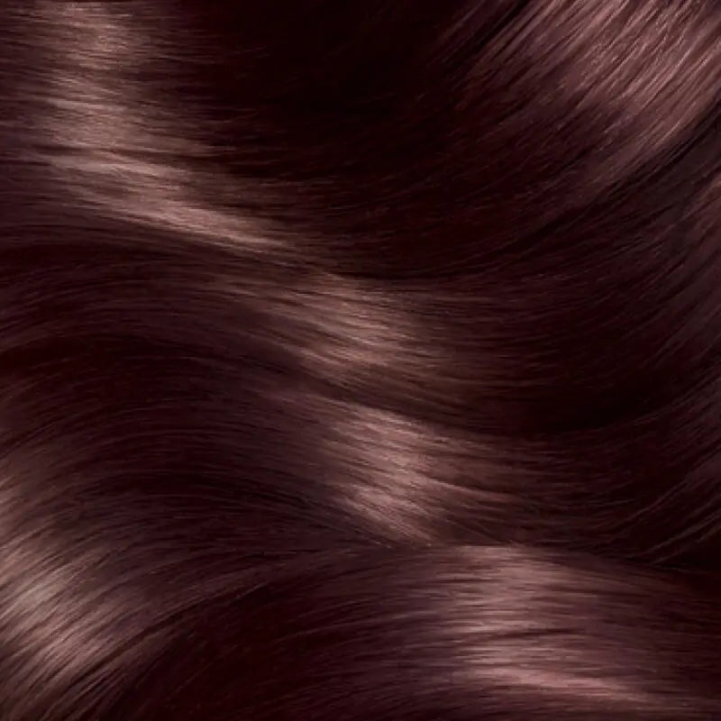 Garnier Color Sensation Permanent Hair Dye 4.15 Icy Chestnut