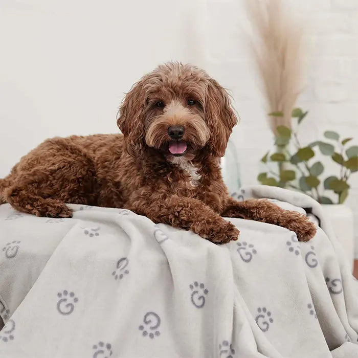 GF Pet Extra Soft Pet Blanket for Cats and Dogs 1 Count