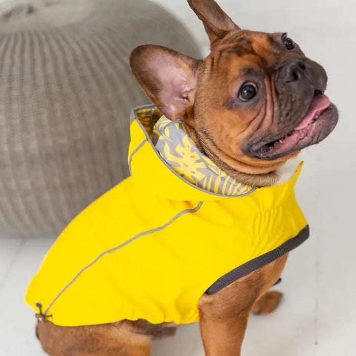 GF PET Reversible Dog Raincoat for All-Weather Protection