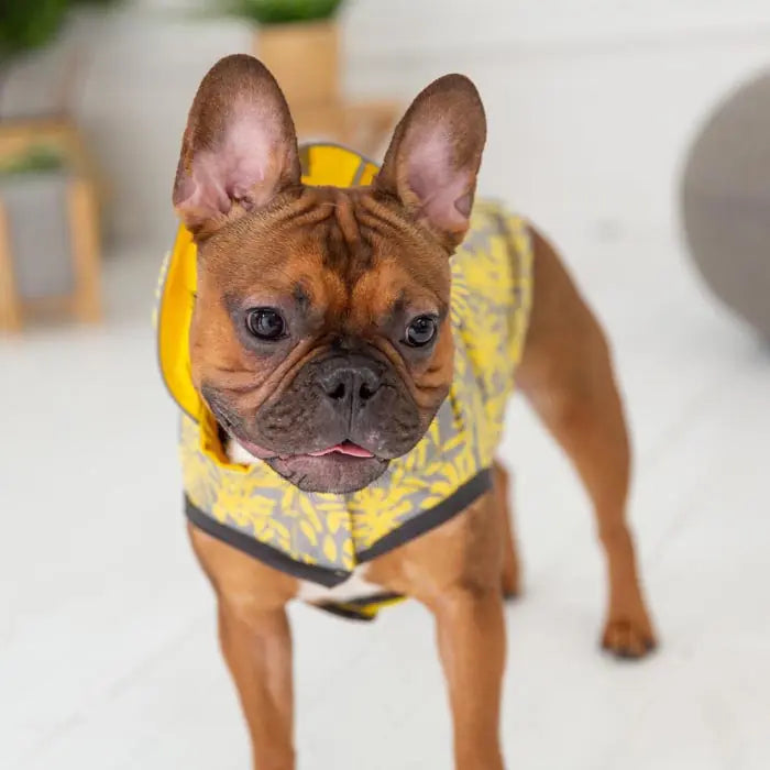 GF PET Reversible Dog Raincoat for All-Weather Protection