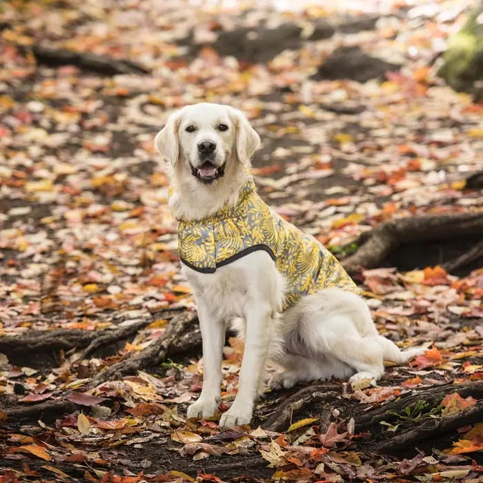 GF PET Reversible Dog Raincoat for All-Weather Protection