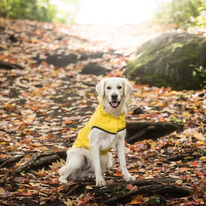 GF PET Reversible Dog Raincoat for All-Weather Protection