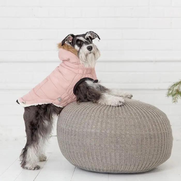 GF PET Urban Parka Dog Coat for Cold Weather Protection