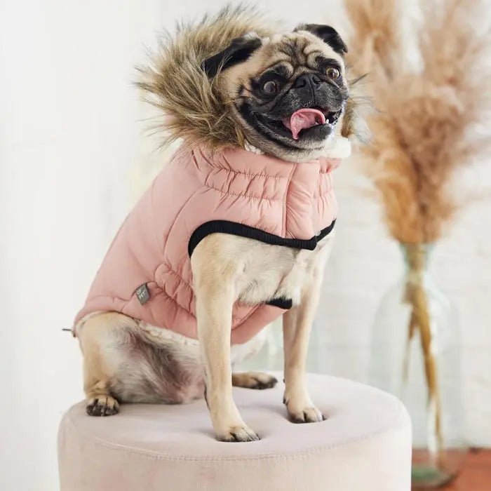 GF Pet Urban Parka Dog Coat for Cold Weather Protection
