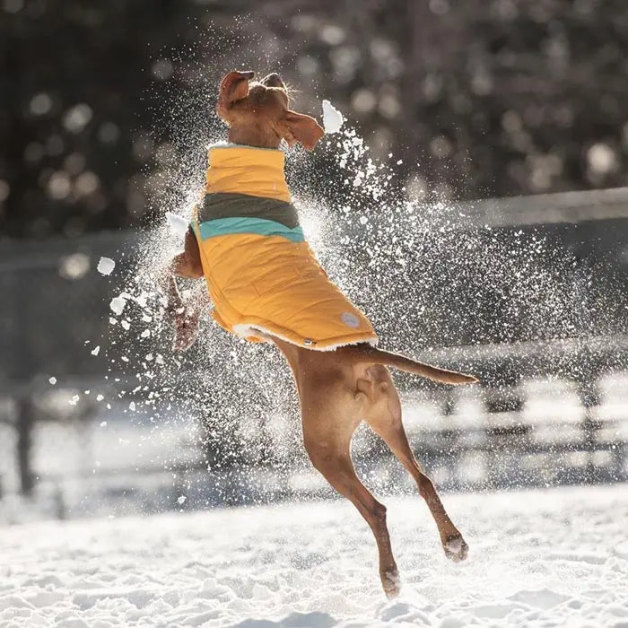 GF PET Alpine Puffer Dog Coat Insulated Winter Jacket