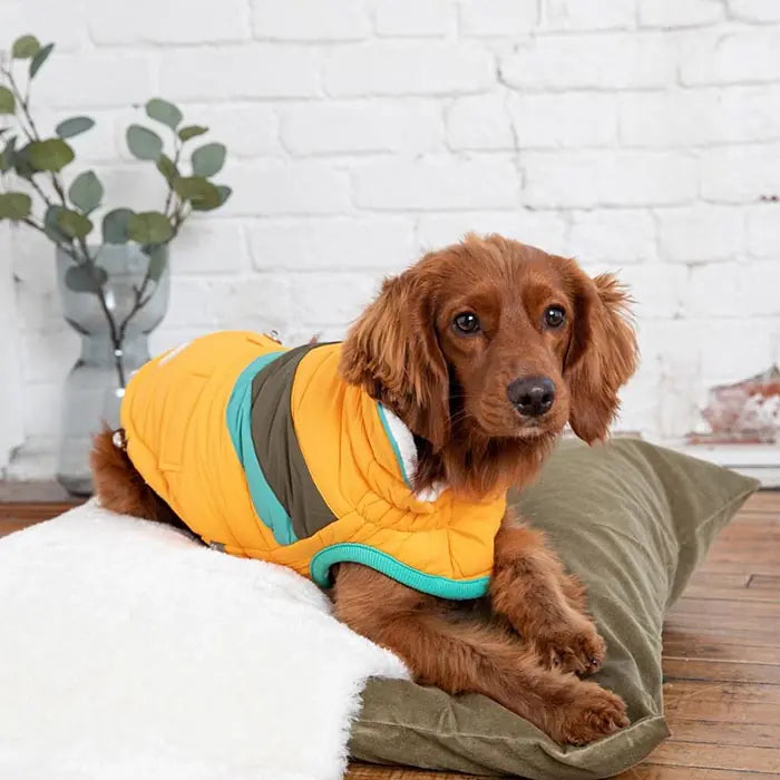 GF PET Alpine Puffer Dog Coat Insulated Winter Jacket