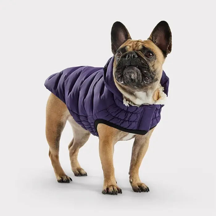 GF Pet Cloud Dog Coat Water-Resistant Puffer Jacket