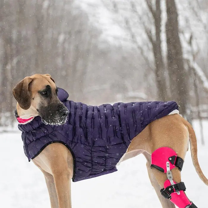 GF Pet Cloud Dog Coat Water-Resistant Puffer Jacket