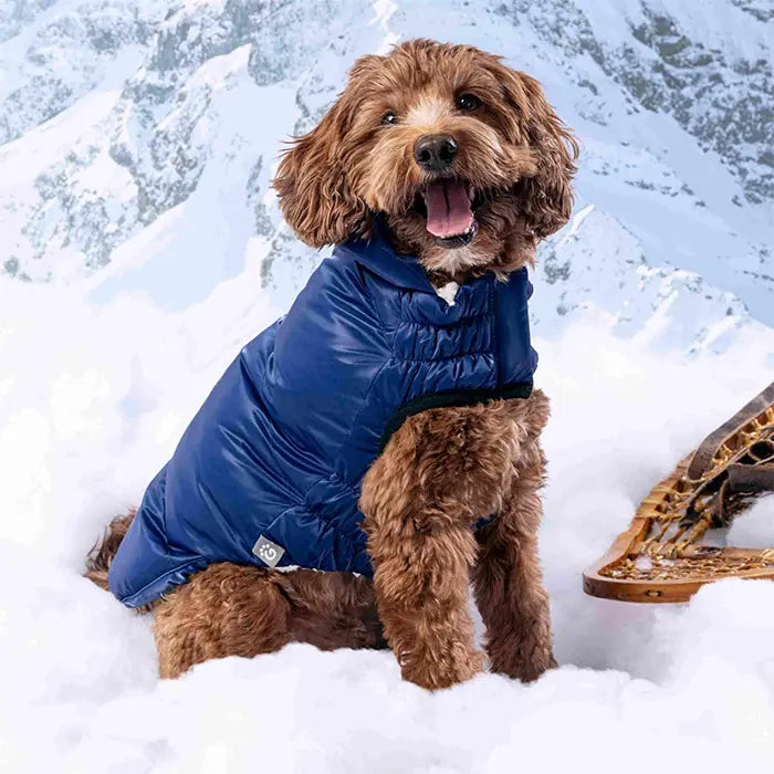 GF Pet Lunar Glow Dog Coat Water-Repellent Sherpa Jacket