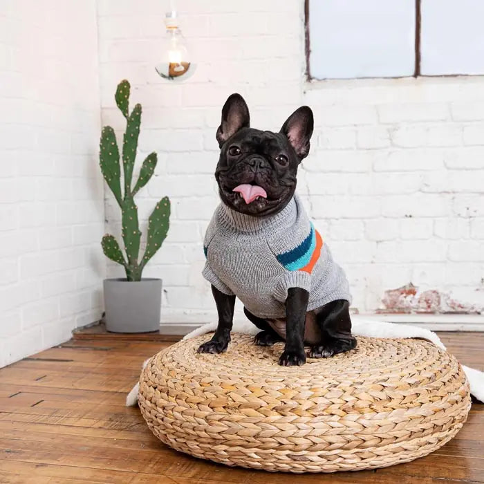 GF Pet Alpine Dog Sweater Comfortable Winter Knit Outerwear