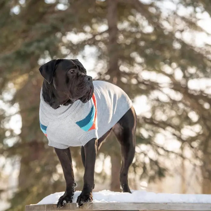 GF Pet Alpine Dog Sweater Comfortable Winter Knit Outerwear