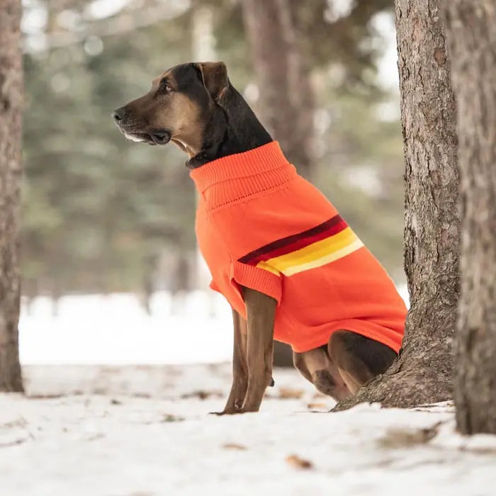 GF Pet Retro Dog Sweater Stylish Knit Pet Apparel
