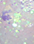Mov Milky Diamond Festival Glitter Cream No:02 for Face & Body