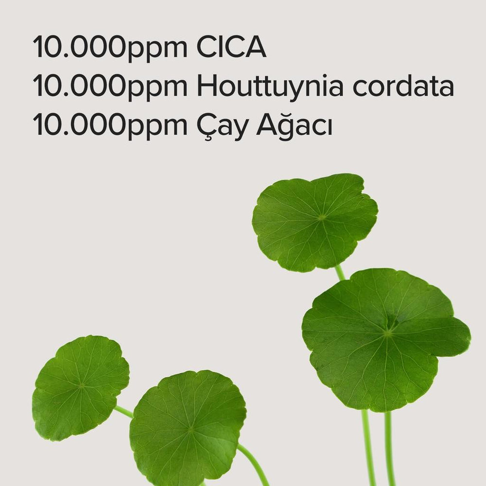 Mary & May Cica Houttuynia Tea Tree Calming Mask 30 Sheets