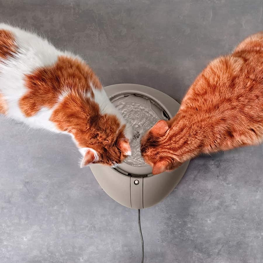 Imac Ciottou Pet Water Fountain for Fresh Hydration 2L