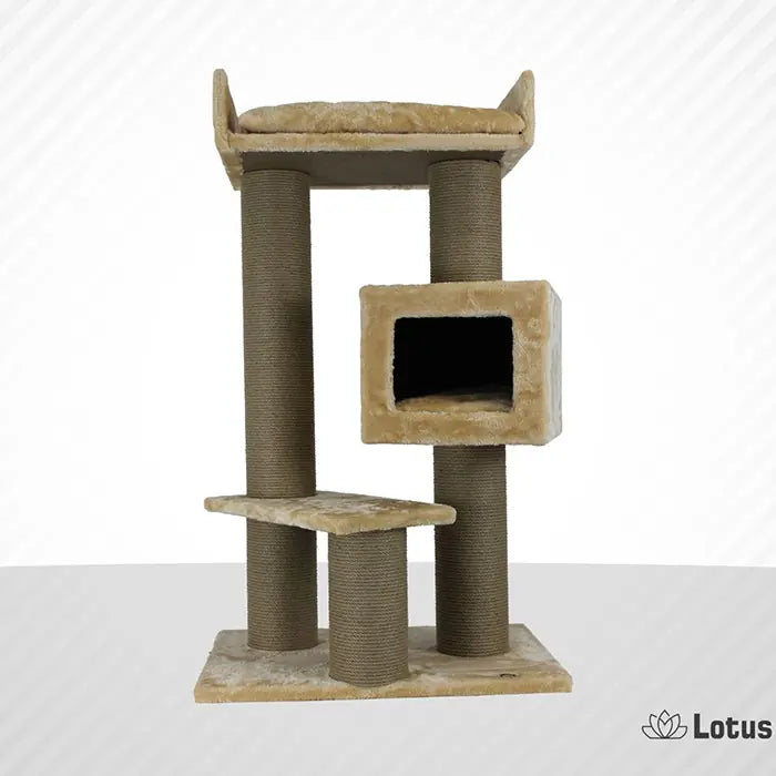 Lotus Pet Design Toulouse Honey Cat Scratcher Post