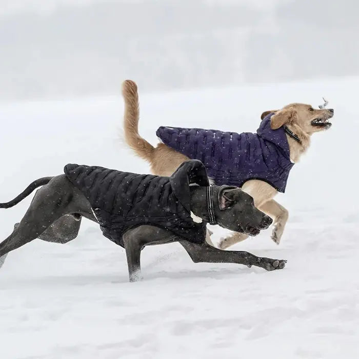GF Pet Cloud Dog Coat - Water-Resistant Winter Jacket for Dogs