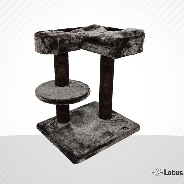 Lotus Pet Design Padua Brown Cat Scratcher Post