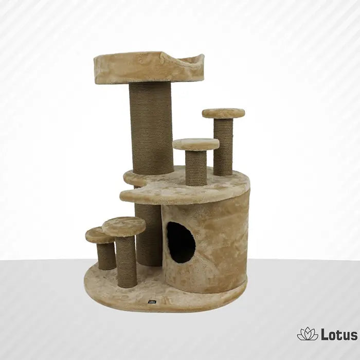 Lotus Pet Design Seul Low-Profile Cat Scratcher Honey 1 Unit