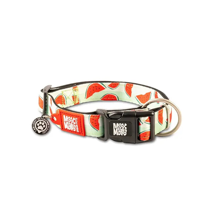 Max & Molly Watermelon Smart ID Dog Collar Medium