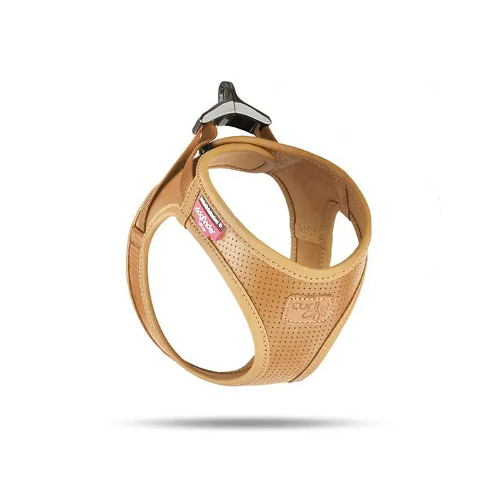 Curli Apple Leather Brown Vegan Dog Collar 2X-Small