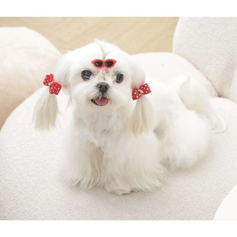 M-Pets Glam Glasses & Bow Hair Clip for Cats and Dogs Red