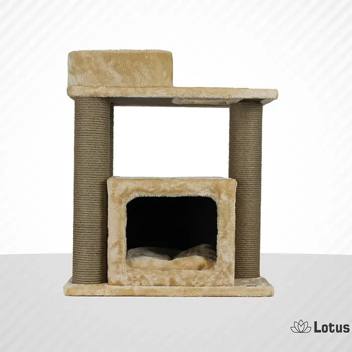 Lotus Pet Design Vilnius Honey Color Cat Scratcher 1 pc