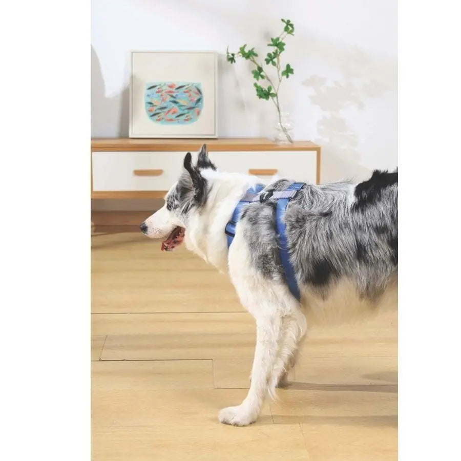 M-Pets Gentle Blue Dog Harness for Comfortable Walking Medium