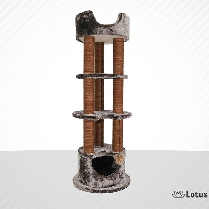 Lotus Pet Design Dubai Brown Cat Scratcher for Play 1 pc