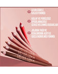 Maybelline New York Lifter Liner 005 On It Lip Liner