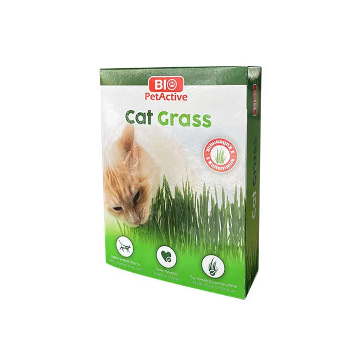 Bio Pet Active Natural Cat Grass Kit
