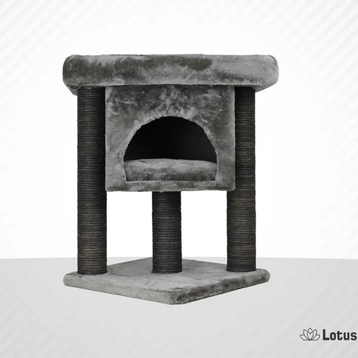 Lotus Pet Design Izmir Grey Cat Scratcher for Play 1 Unit