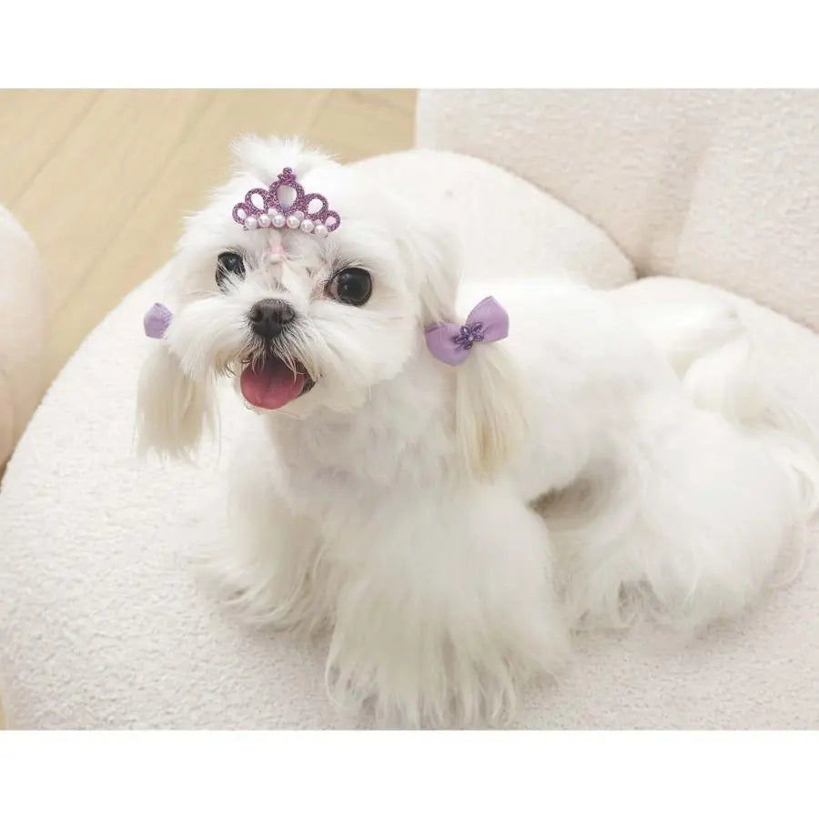 M-Pets Glam Crown and Bow Accessory Set for Cats and Dogs Purple