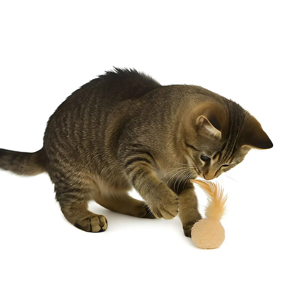 Eastland Catnip Felt Ball Cat Toy with Feather Detail, 5 cm