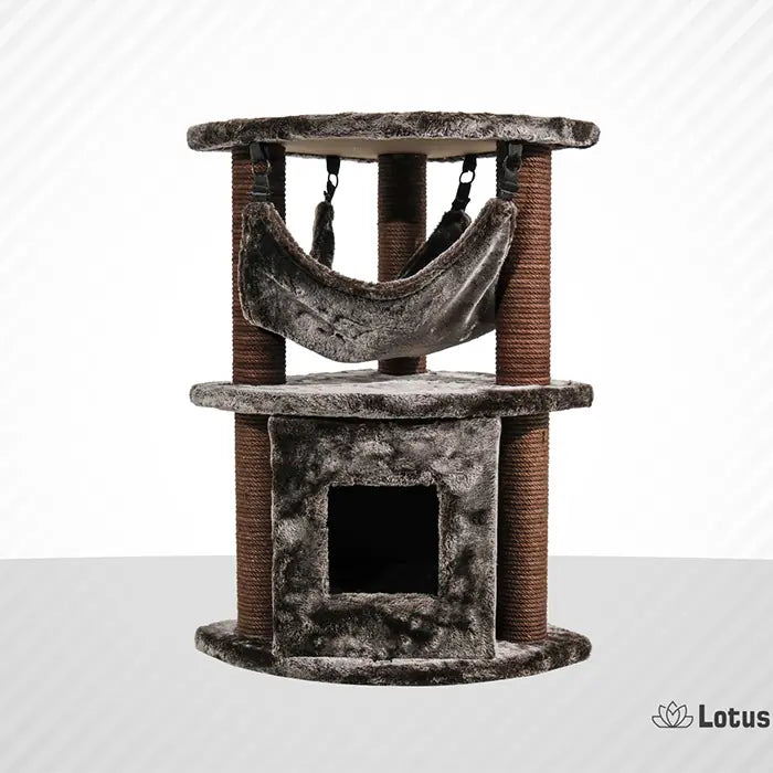 Lotus Pet Design Berlin Brown Cat Scratcher 1 pc