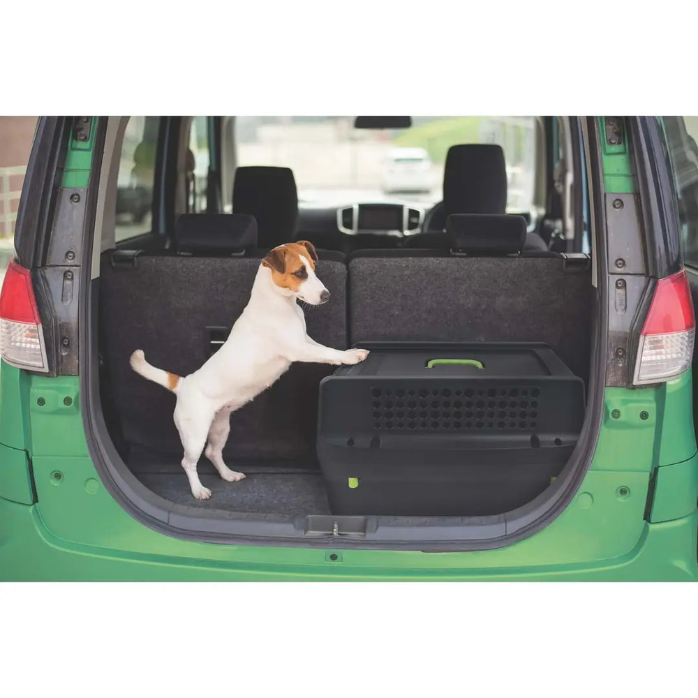 M-Pets Eco Trek IATA Rolling Pet Carrier for Cats and Small Dogs