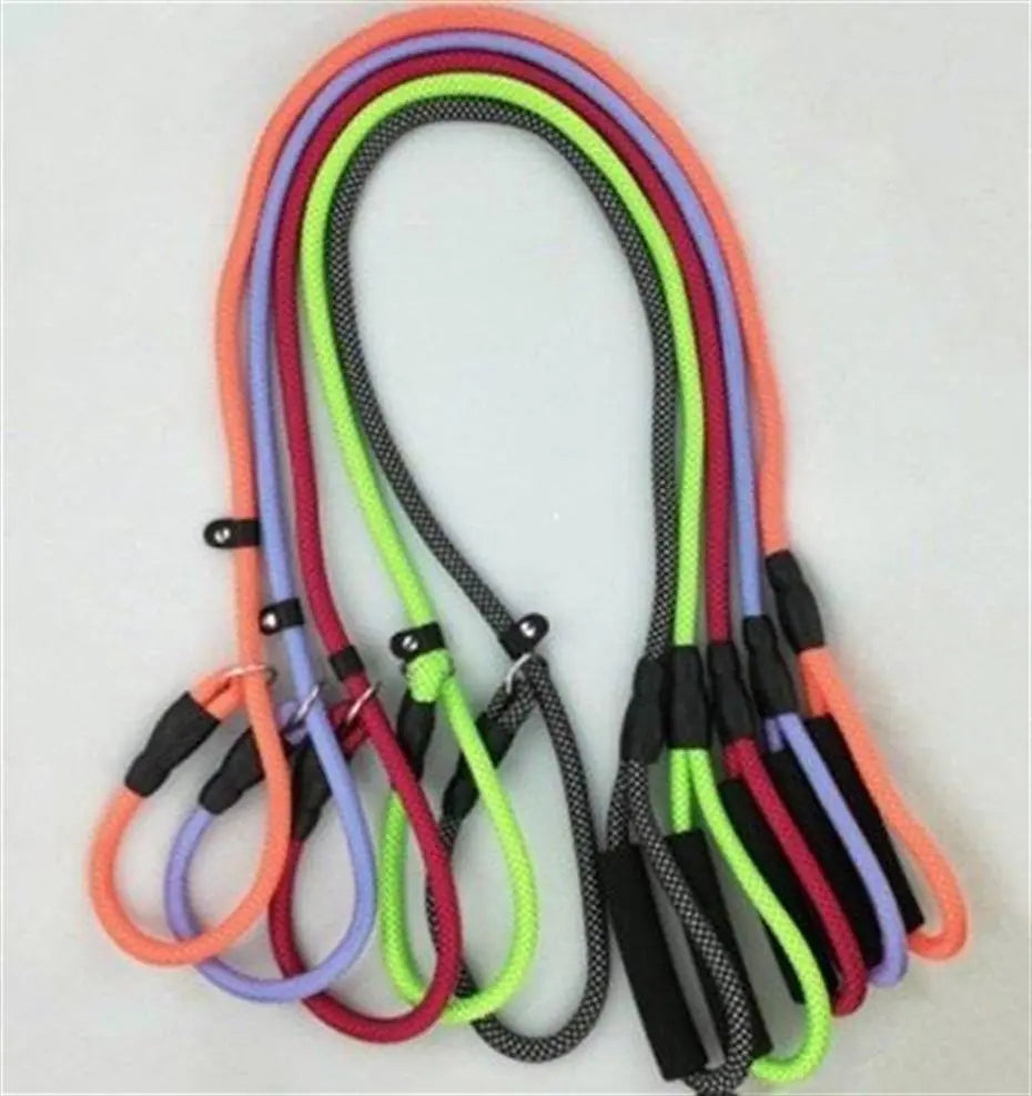 Lion Pet Dog Leash Durable Walking Lead 1.2cm x 1.5m