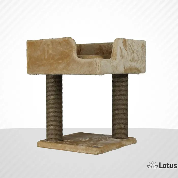 Lotus Pet Design Lyon Honey Color Cat Scratcher Post
