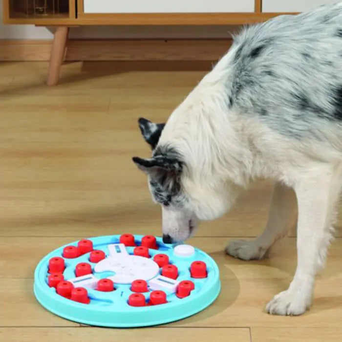 M-Pets Brainy Da Vinci Level 3 Interactive Dog Puzzle Toy