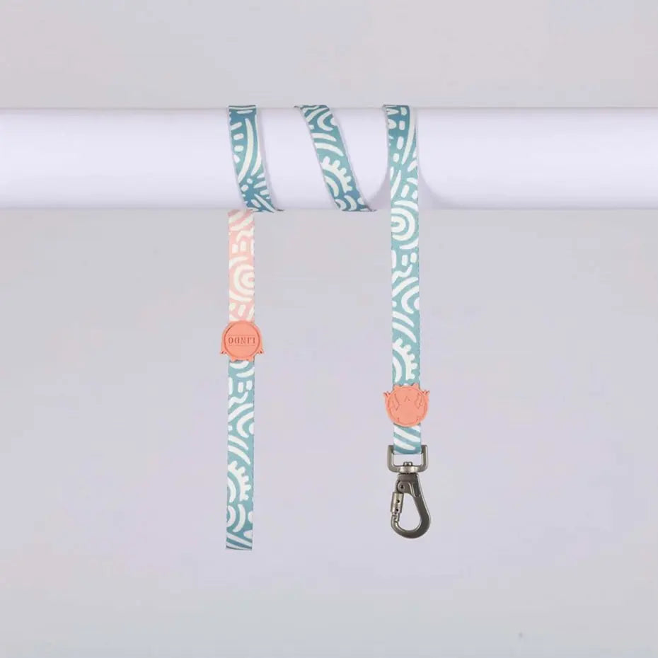 Lindo Touch Small Dog Leash Durable Walking Lead 15mm-120cm