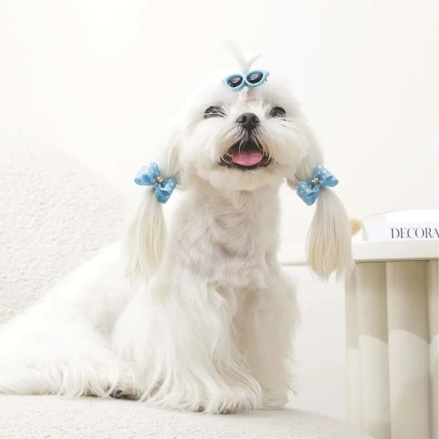M-Pets Glam Blue Glasses & Bow Hair Accessory for Pets