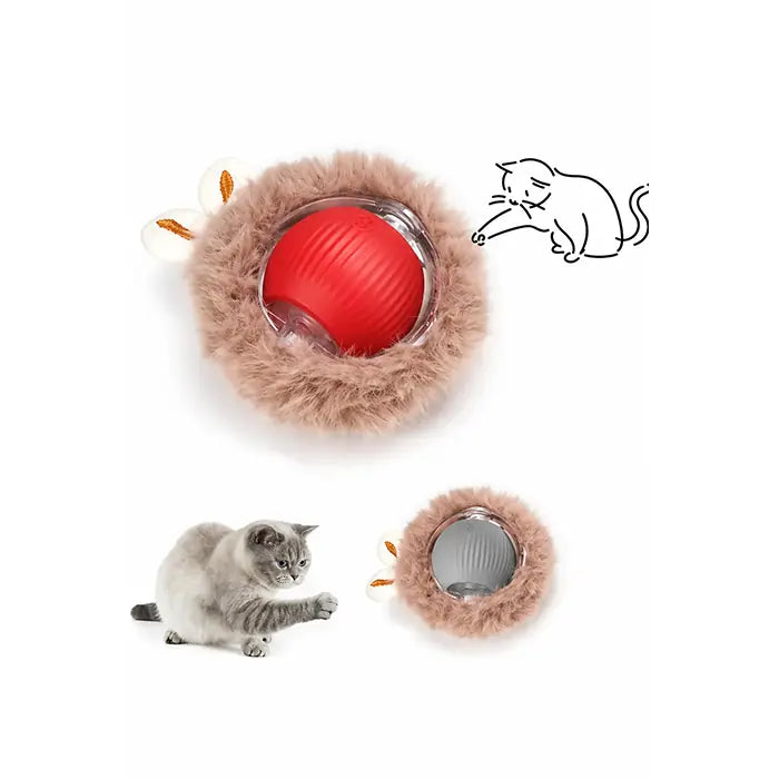Petgross Interactive Moving Cat and Dog Toy