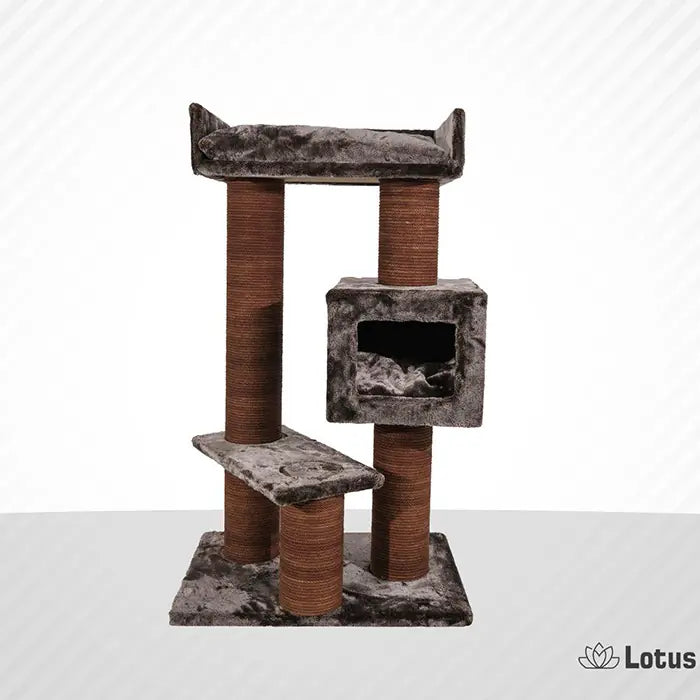 Lotus Pet Design Toulouse Brown Cat Scratcher 1 Count