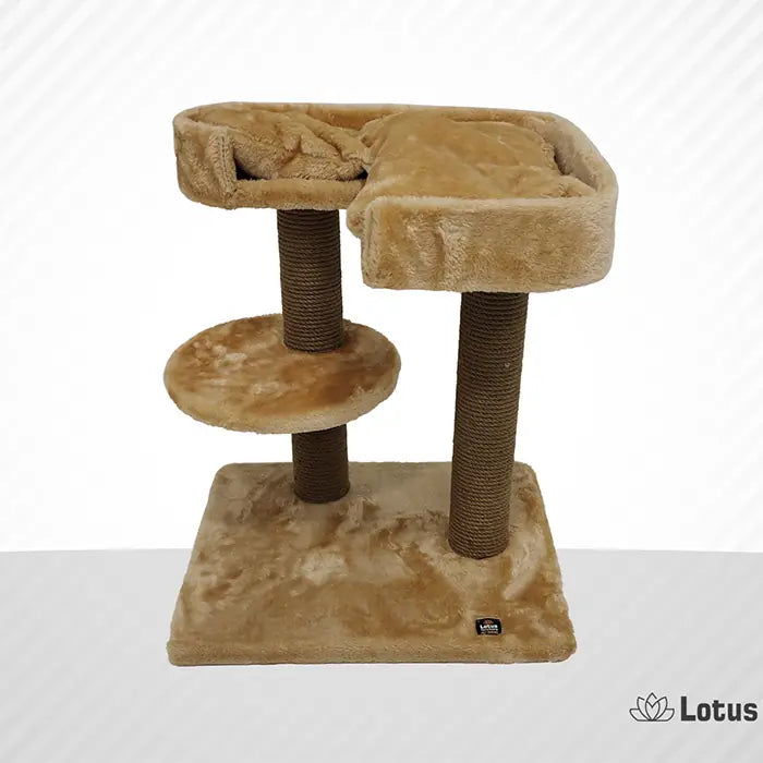 Lotus Pet Design Padua Honey Cat Scratcher for Play 1 pc