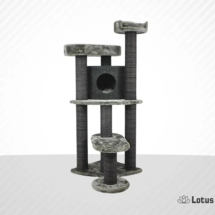 Lotus Pet Design Roma Grey Cat Scratcher for Play and Claws