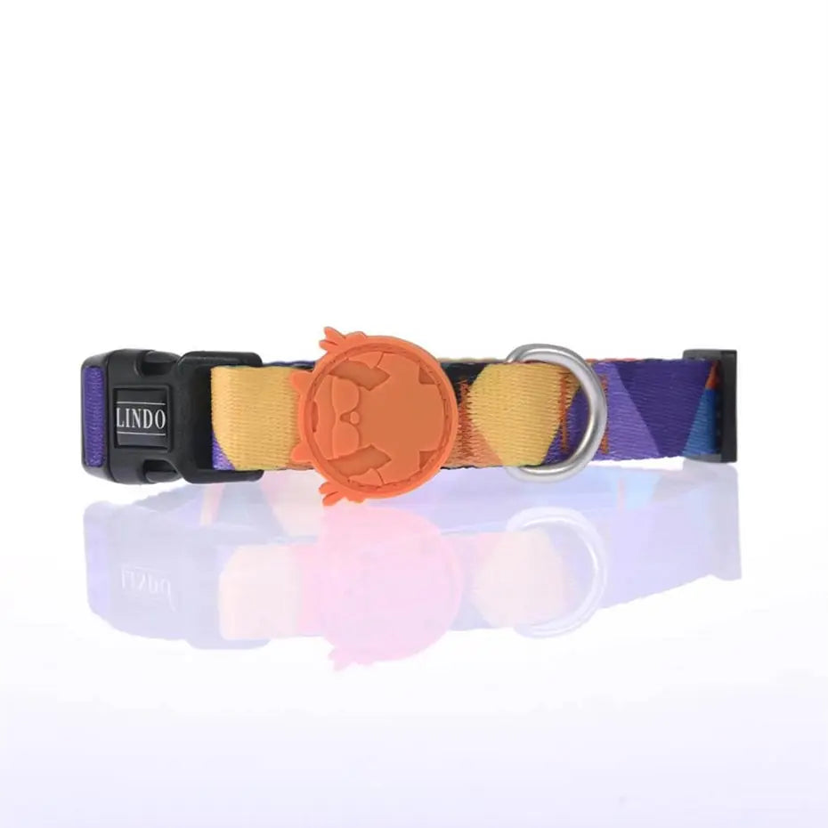 Lindo Ibiza Dog Collar Stylish Adjustable Large 46-70cm