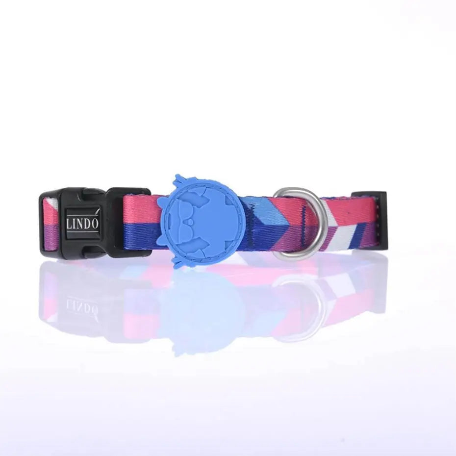 Lindo Pink Dream Dog Collar Stylish Adjustable Design Medium 37-56cm